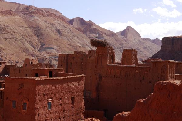 Jour 1 : Marrakech – Mhamid, Désert Marocain