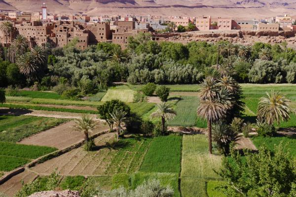 Jour 4 : Agdz – Agadir