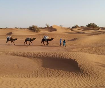Randonnée Désert Maroc 