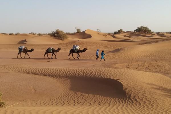 Randonnée Desert Maroc Circuit 5 Jours
