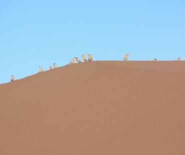 6 jours Désert Marocain