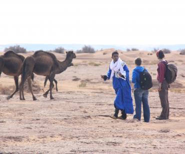 Le Désert marocaon en dromadaire
