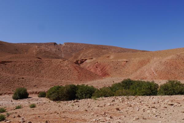 Jour 4 : Agdz – Tata, entre oasis et patrimoine