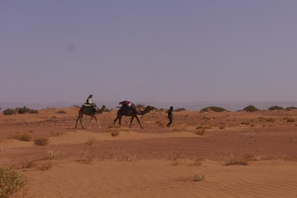 Jour 3 : Boutaghrar – Vallée du Drâa – M’hamid (désert marocain depuis Marrakech)