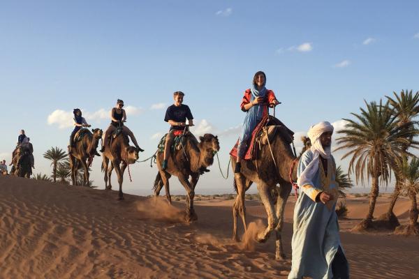 Jour 5 : Randonnée à dos de dromadaire dans le désert du Maroc