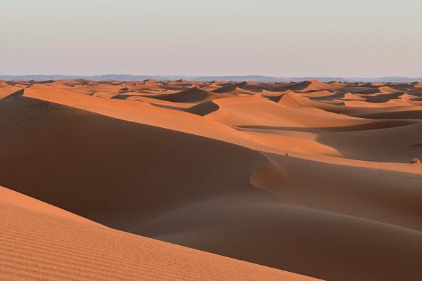 Jours 6 : Désert Marocain - Marrakech 