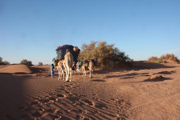 Jour 2 : M’hamid – Randonnée en dromadaire dans le désert marocain