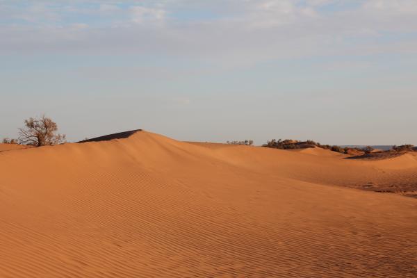 Jour 3 : Retour au bivouac – Porte du désert marocain