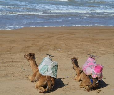 Désert marocain départ Agadir