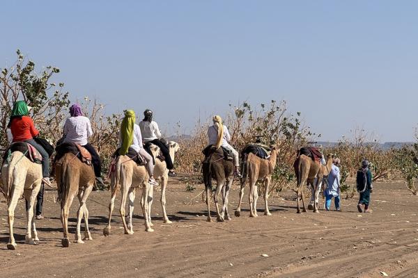 Circuit désert au départ de Ouarzazate 4 jours et 3 nuits