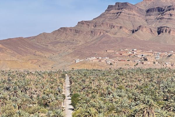 Jour 1 : Ouarzazate – Vallée du Drâa – Zagora – Mhamid