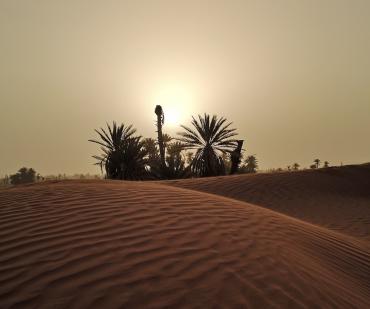 Oasis au lever du soleil dans les dunes du désert marocain pendant un voyage de 3 jours depuis Ouarzazate