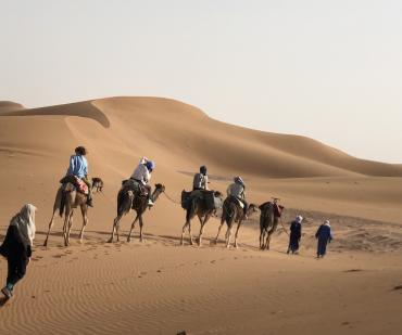 Balade à dos de dromadaire dans le Sahara au départ de Ouarzazate vers Erg Chegaga