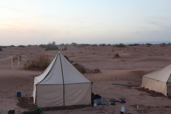 Jour 4 : Erg Ait Ounir – Mhamid