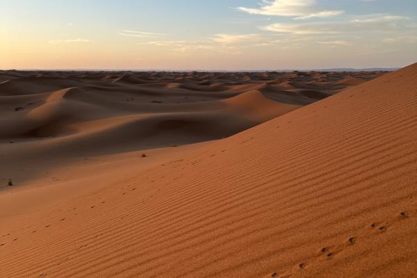 Excursion dans le Désert Erg Chigaga