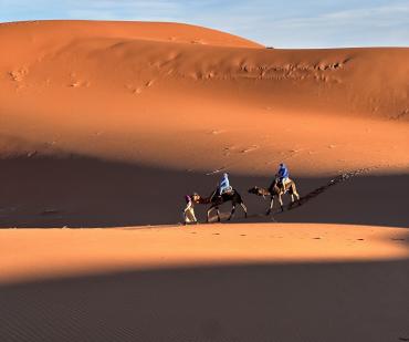 Balade en dromadaire au coucher de soleil dans les dunes de l'Erg Chigaga au Maroc.
