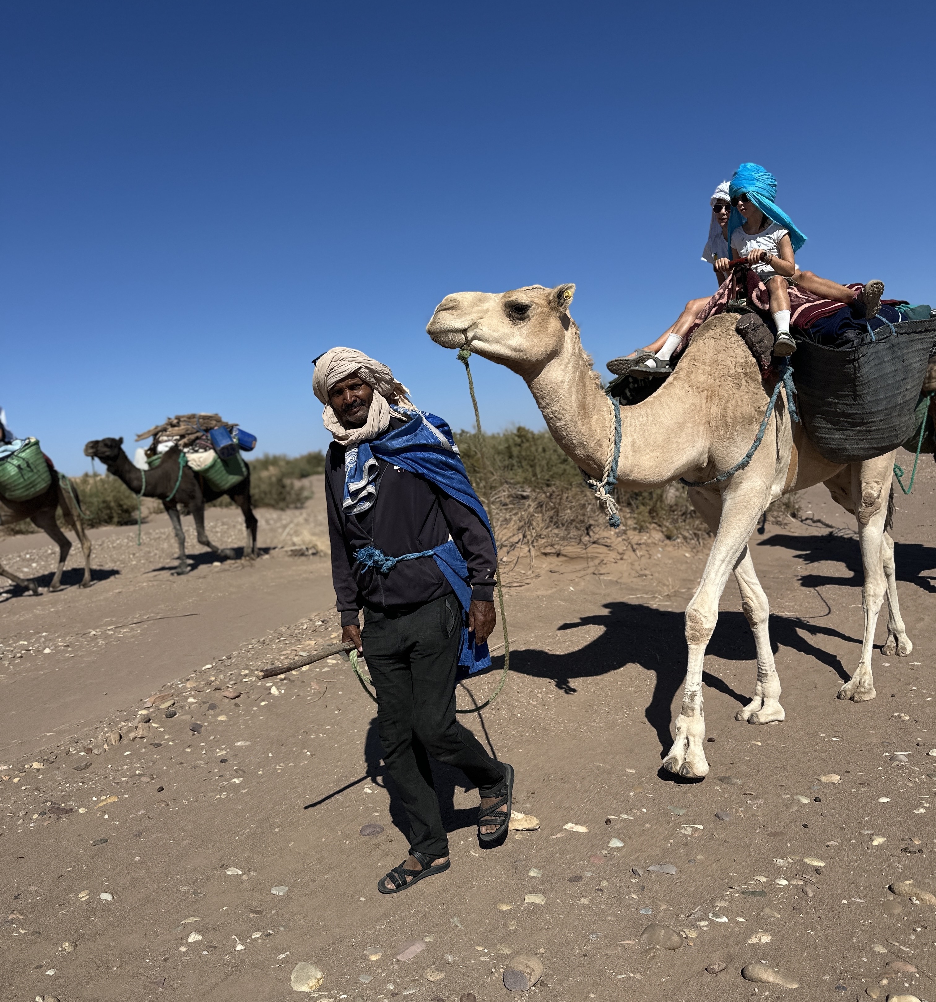 Desert Camel Ride in Morocco