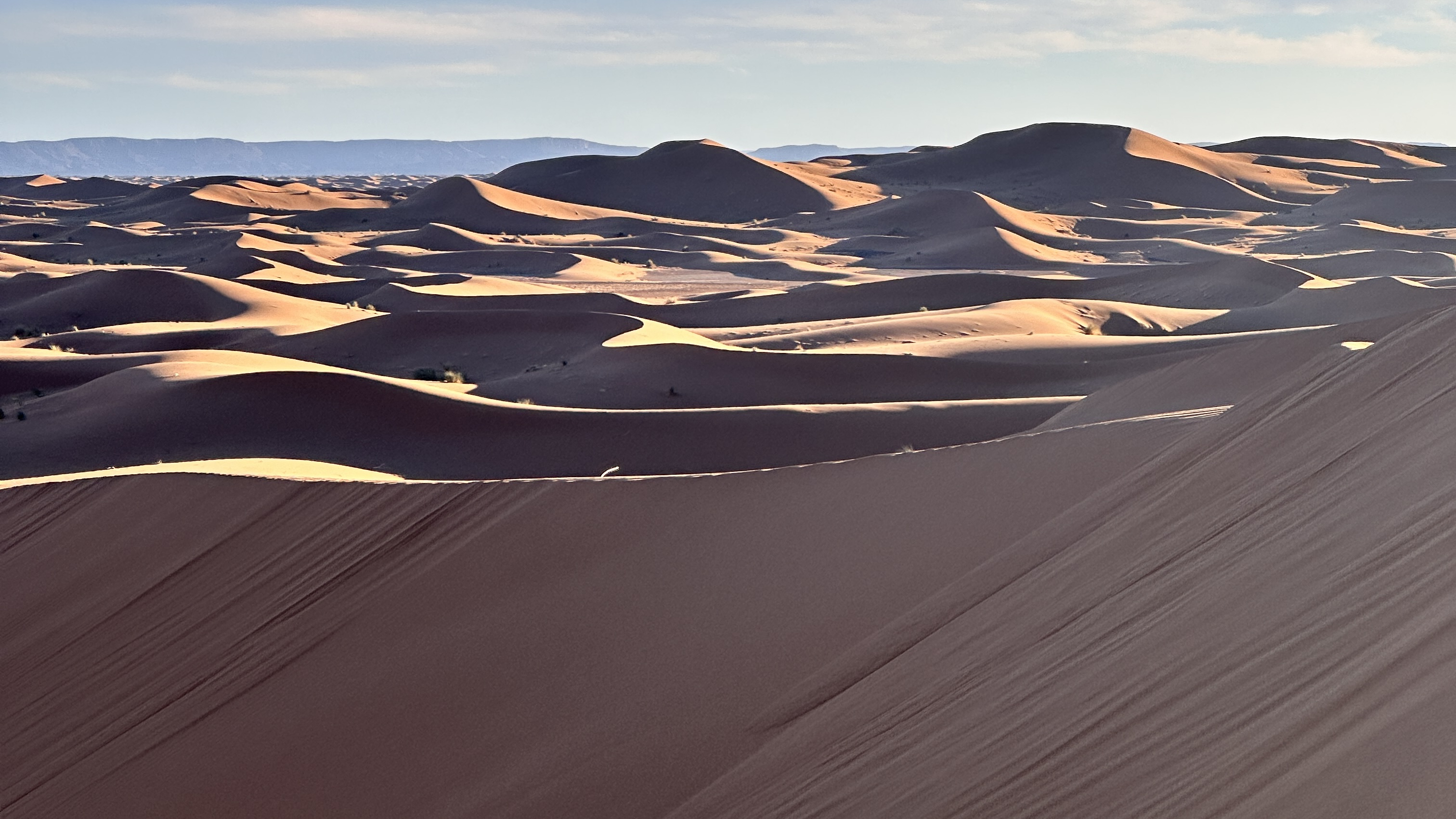 Immenses dunes sauvages d'Erg Chegaga dans le Sahara marocain