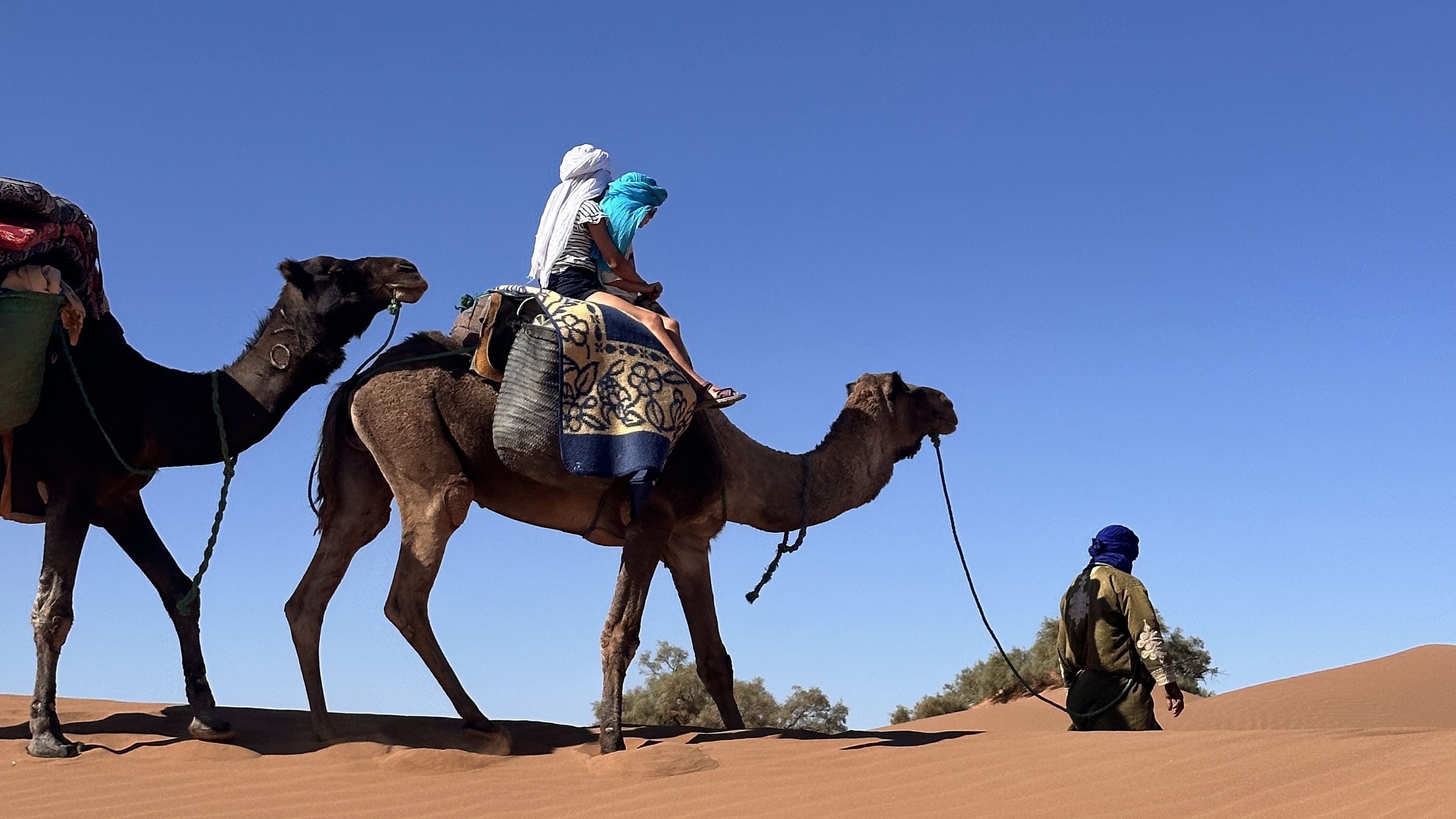 Travel in the Moroccan desert with kids